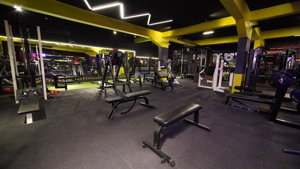 ConceptFit50 Neon Tasarım